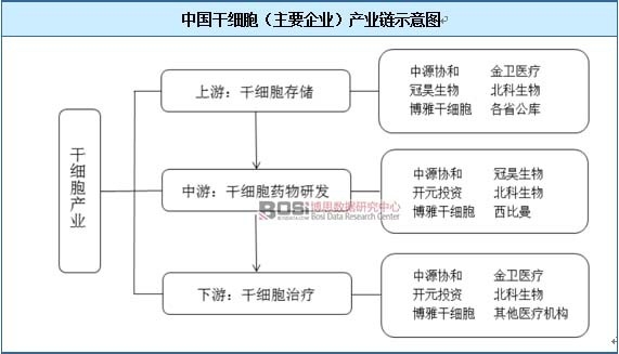 中國干細胞(主要企業)產業鏈示意圖